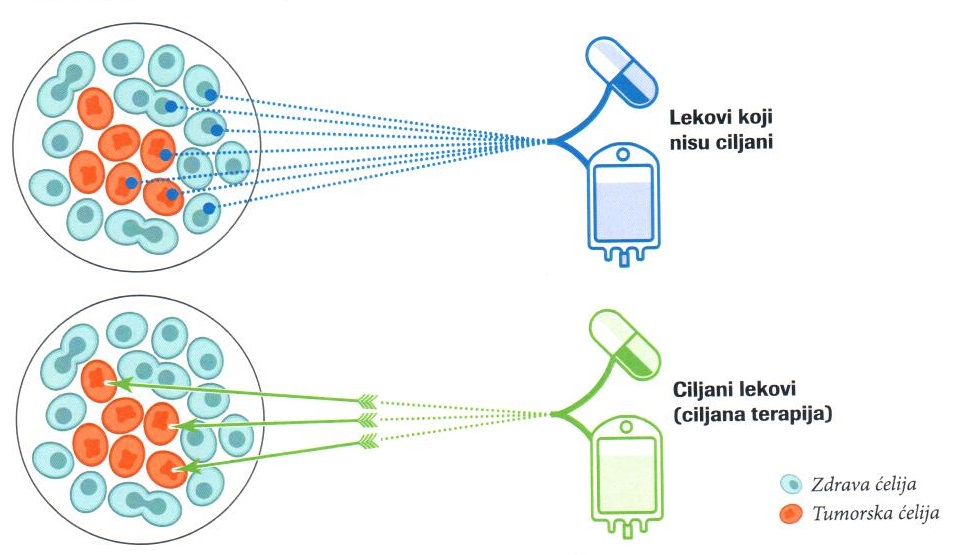 targeted therapies targeted therapies
