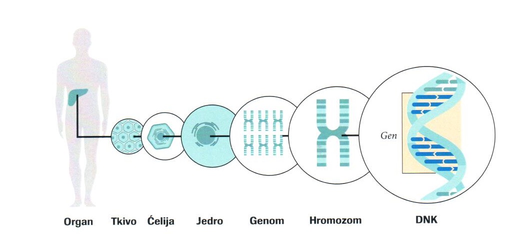 What is genome What is genome