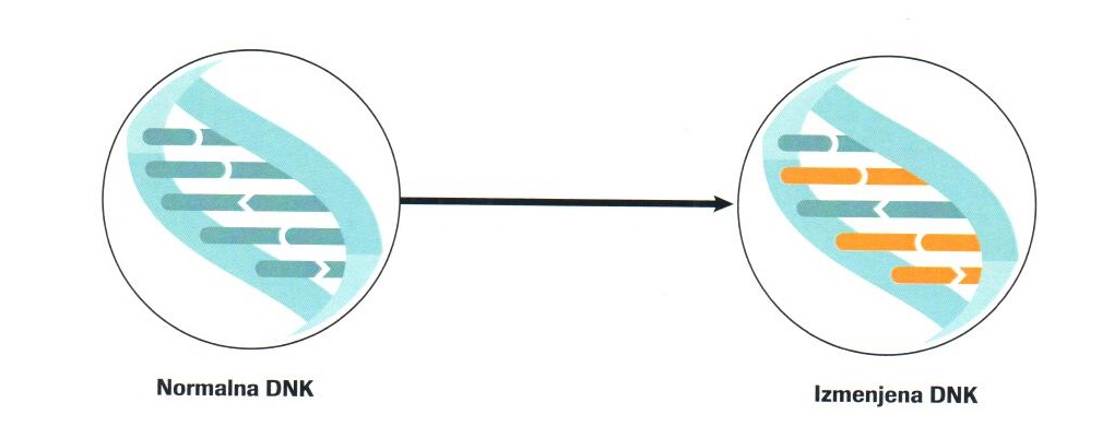 What is gene mutation What is gene mutation