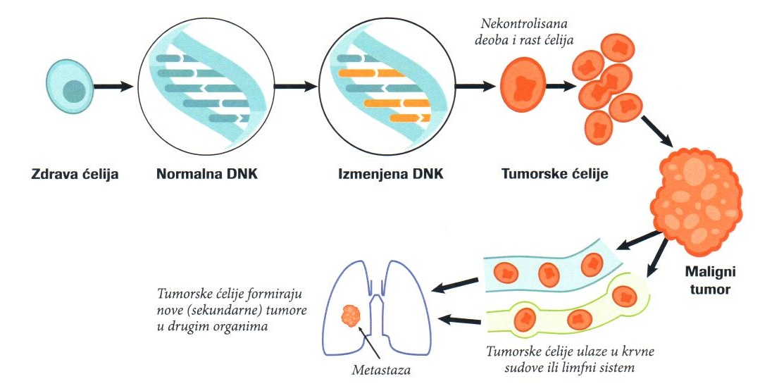 What is cancer What is cancer